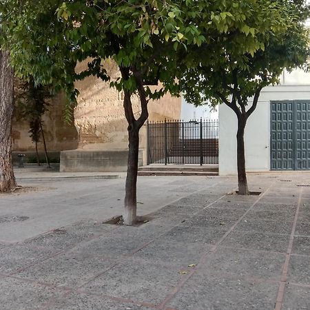Casa Mnuela - Centro Jerez - Parking Opcional Appartement Jerez de la Frontera Buitenkant foto