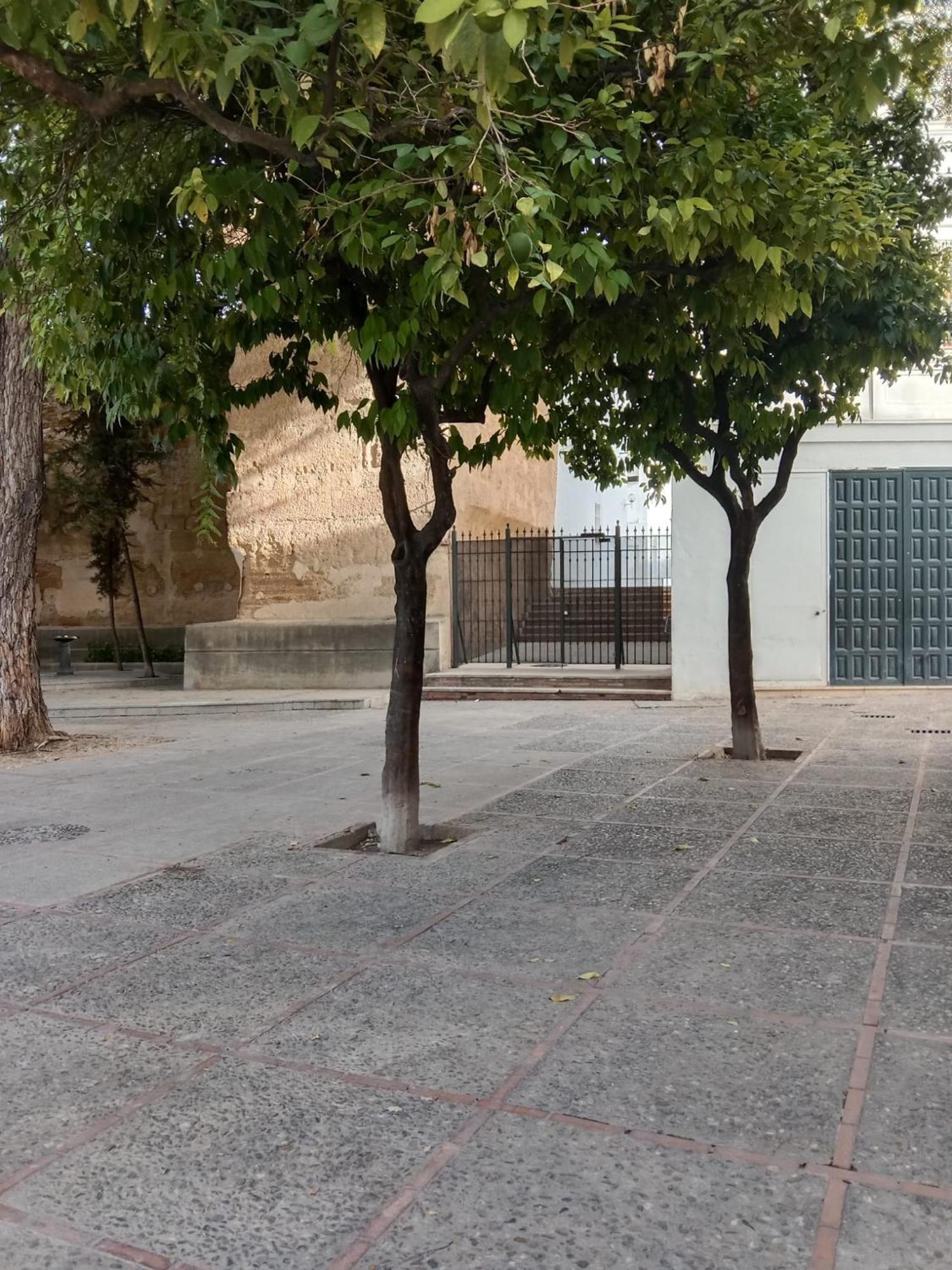 Casa Mnuela - Centro Jerez - Parking Opcional Appartement Jerez de la Frontera Buitenkant foto
